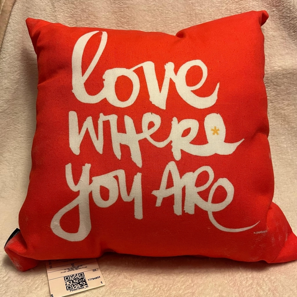 Kal Barteski Love Outdoor Throw Pillow NWOT